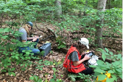 Two research technicians measure carbon dioxide and methane fluxes from transplanted soil monoliths along a tidal creek at the Smithsonian Environmental Research Center in Edgewater, Maryland.