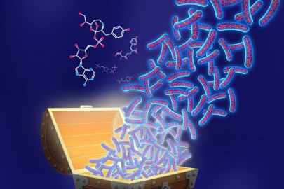 Artist’s representation of the treasure trove of microbial diversity and the metabolic capacity they have acquired through billions of years of evolution.