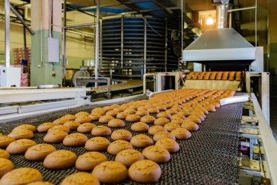 A Bakery Conveyor Belt