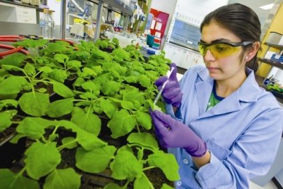 Explore Bioenergy Careers