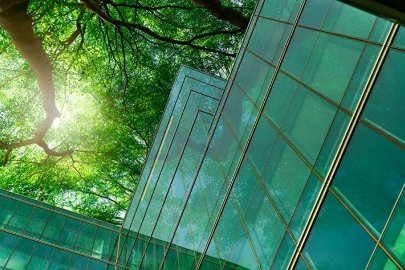 View of the sky looking up through tree branches, with a modern glass building in the foreground.