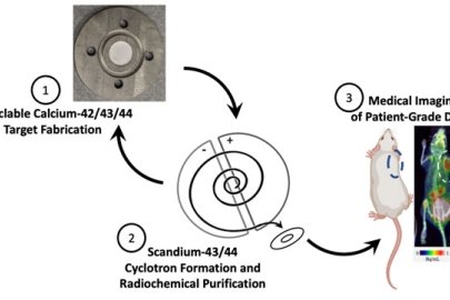 Summary of the production process for radioisotopes of scandium using recyclable, enriched calcium.