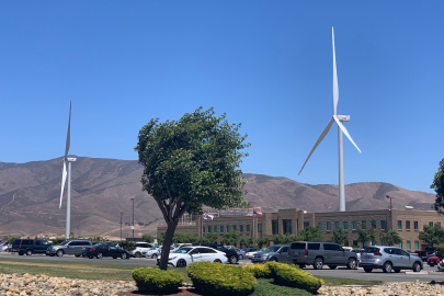 Wind turbines behind a large building and a blowing tree