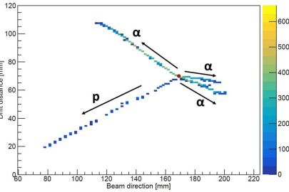 Image of particles that have emerged from the nucleus after it undergoes beta decay from this new decay mode. The resultant nucleus has broken apart into three helium nuclei (α) and one proton (p) originating from a single decay point (red circle).