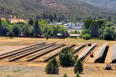 A solar array near a pine forest and mountainside.