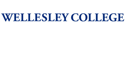 On the Hunt for a Mysterious Particle