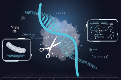 A novel method improves the accuracy of the CRISPR Cas9 gene editing tool scientists use to modify microbes for renewable fuels and chemicals production. It draws on quantum chemistry, artificial intelligence, and synthetic biology.