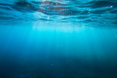 Underwater photograph