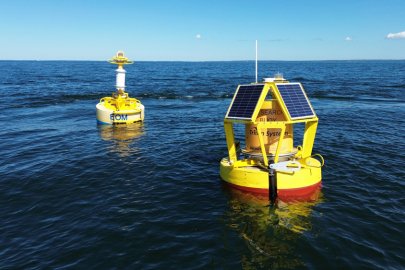 Wave energy devices deployed at sea