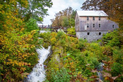 A hydropower facility in a forest
