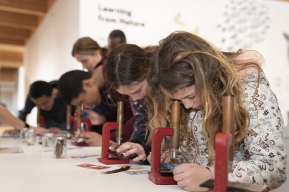 Photo of Children's Earth Day Activities