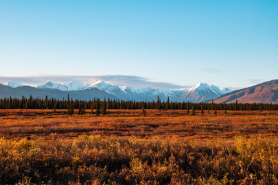 unsplash Image Alaska outdoors