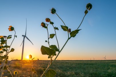 Turbine in background of field and plants. 