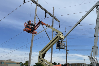 fall protection training