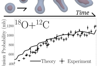 Top: the time evolution of a typical collision of oxygen and carbon nuclei and the shapes of the fused system. Bottom: experimental fusion probability compared to the results of thousands of simulations (black line) for a large range of energies.