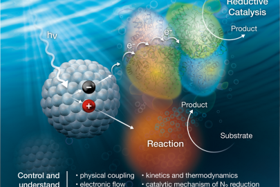 Nanocrystals (left) capture light (hv) and then transfer electrons (e-) to nitrogenase enzymes (upper right) to convert dinitrogen (N2) to ammonia (NH3). A sacrificial reaction (bottom right) completes the process.