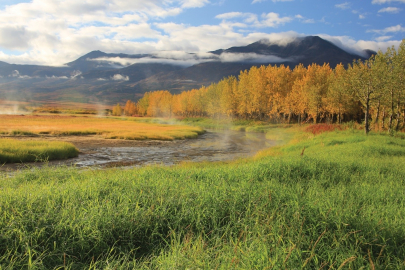Geothermal steam rises from Pilgrim Hot Sprints on the Seward Peninsula in Alaska. 