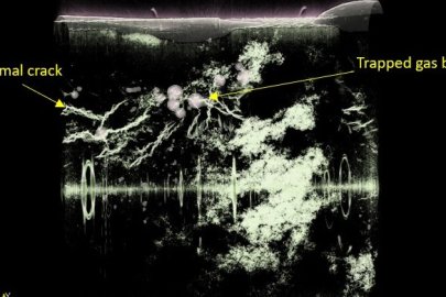 Microtomographic 3D snapshots of complex structure of thermal cracks and air bubbles in an additive manufactured metal during the 3D printing process.