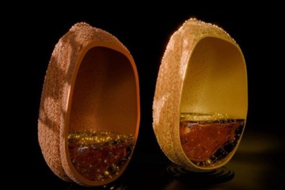 Artist’s representation of camelina seeds with contrasting seed coat colors and oil amounts. Disruption of the TT8 gene in camelina changed the regular brown seed color to light yellow and enhanced oil accumulation.