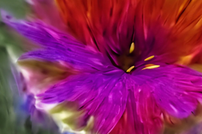 A digital image of a flower. 