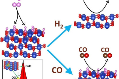 Peroxide (OO) forms on CuO by annealing in O2, leading to a larger oxygen surface population. Greater oxygen coverage prevents organic species from reacting on the oxygen-rich CuO surface (bottom right) and promotes hydrogen gas decomposition (top right).