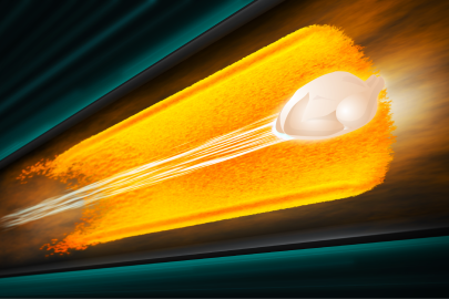 A turkey stylized in a particle accelerator