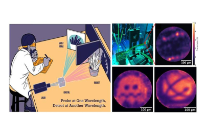 Principles of quantum ghost imaging. Top: Sorghum plant and quantum ghost microscope image of a live sorghum leaf. Bright spots are rows of stomata. Bottom: Binary test targets, including a ghost from Pac-Man and the Los Alamos National Laboratory logo.