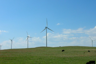 Wind Turbines in a rural area with green grass and blue skies. 