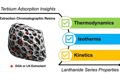 Illustration of an idealized extraction chromatographic resin using DGA or LN extractants. By studying the adsorption properties of terbium on these DGA and LN resins, scientists gain insights into these properties for the entire lanthanide series.