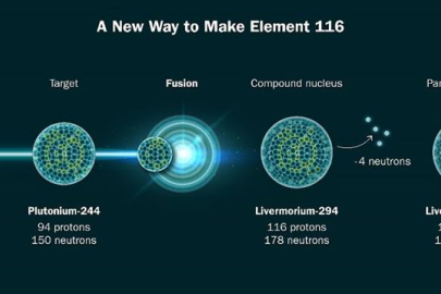 To make element 116, researchers fused isotopes of titanium and plutonium.