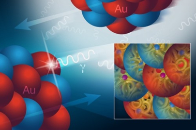 High-energy, near-miss collisions of atomic nuclei allow scientists to probe the inner structure of protons and neutrons in a gold (Au) nucleus, including the density of the gluelike gluons (in yellow) that bind these nucleons’ inner building blocks.