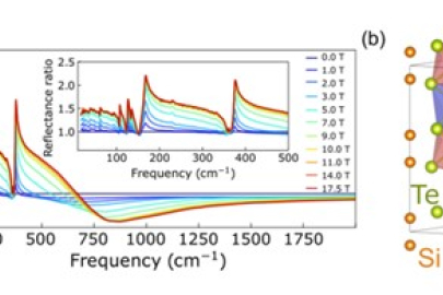 Details of the properties of Mn3Si2Te6. (a) Reflectance ratios of Mn3Si2Te6 as a function of magnetic field at 5.5 K. (b) Crystal structure showing two distinct manganese sites.