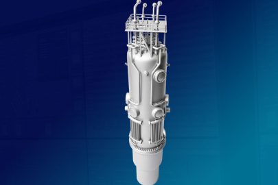 NuScale Power module