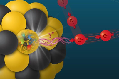 In Electron-Ion Collider (EIC) collisions, interactions between a virtual photon (γ) emitted by an electron colliding with a proton in a nucleus can reveal the arrangement of quarks and gluons inside the nucleus.
