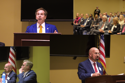 Collage of professionals speaking on a panel and at a podium 