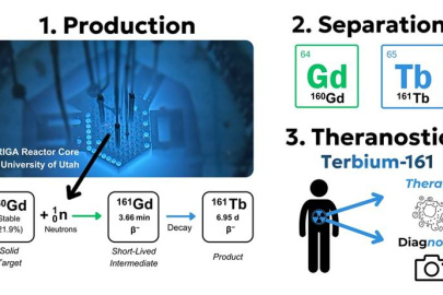 Steps in terbium-161 (Tb-161) production. The University of Utah TRIGA reactor induces thermal neutron capture on gadolinium-160 (Gd-160), which decays to Tb-161. Separating the Gd-160 target yields high-purity Tb-161 for cancer therapy and diagnosis.