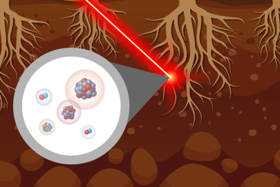 Hotspots of plant-microbe interaction play an oversized role in nutrient biogeochemistry, but their distribution is hard to map. A new method maps nutrient flows into these hotspots and enhances efforts to understand their lifetime and formation.