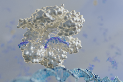A guide RNA strand, in purple, guides CRISPR to a DNA strand. Scientists devised a method to identify genes that can be suppressed to customize microbes for biotechnology applications.