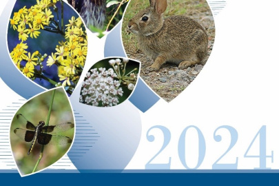 A blue and white magazine cover that says "Savannah River Site Environmental Report"