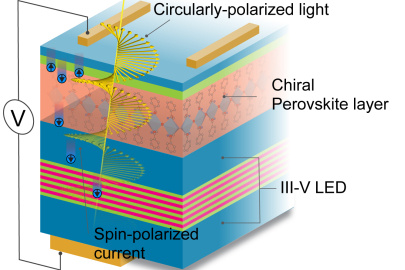 A spin-LED stack consisting of a chiral semiconductor layer that controls the orientation of electron spins to emit circularly polarized light.