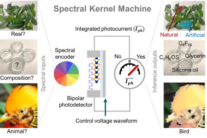 The new sensors, called spectral kernel machines (SKMs) convert optical spectra into diverse environmental knowledge at high speed with low power consumption.