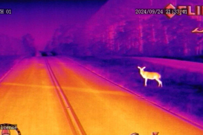 A thermal image of a deer standing on the side of the road at night, the image is orange purple and pink to display the thermal