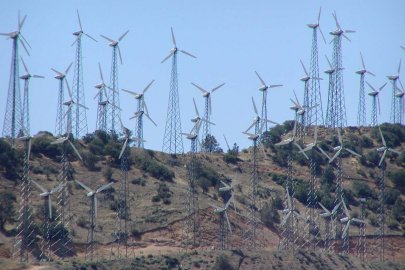 Photo of a large wind farm