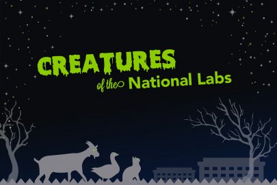 Image related to Creatures of the National Labs