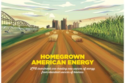 BIOENERGY & BIOFUELS