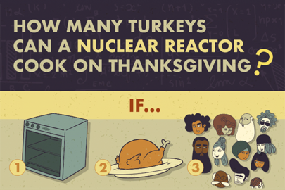 How many turkeys can a reactor cook on Thanksgiving