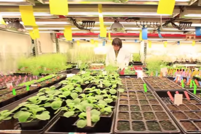 Image related to 6 New Things Happening with Biofuels
