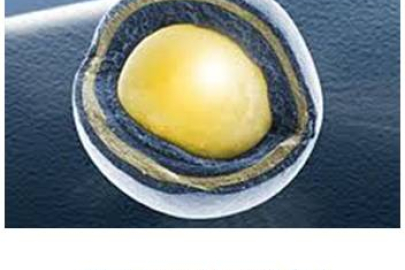 Image related to - Restricted access -