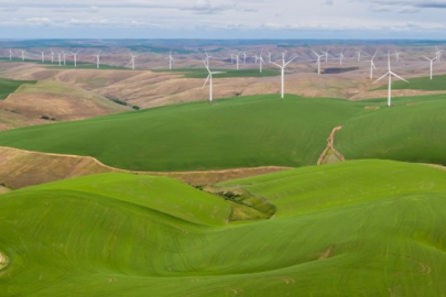 A collection of wind turbines in a field