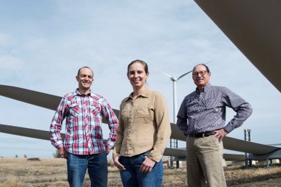 How Much Can Wind Plant Operators Save? WISDEM Counts the Ways
